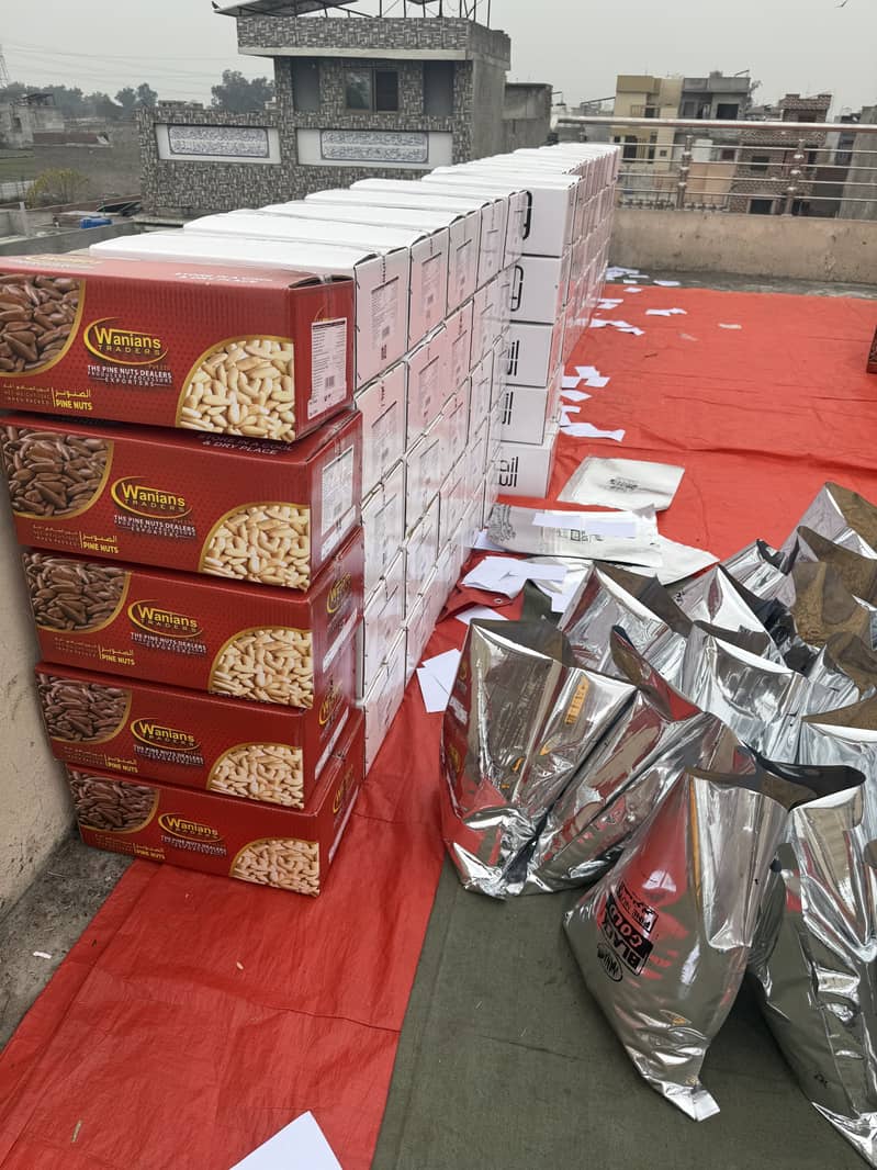 Pine Nuts | الصنوبر 3