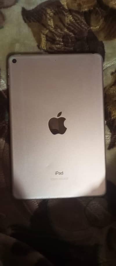 IPAD MINI 5 PANEL NEW CONDITION