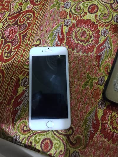 Whatsapp number 03127736976