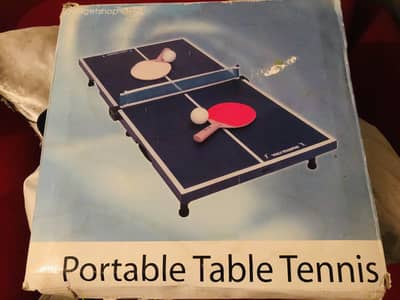 Portable table Tennis