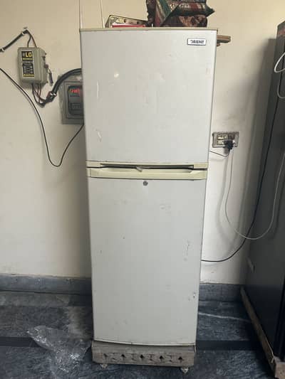 Orient Fridge neat and clean