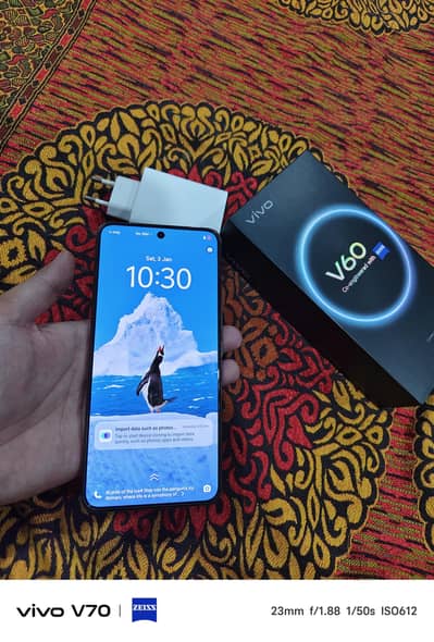 Vivo (12GB/256GB) One handed used