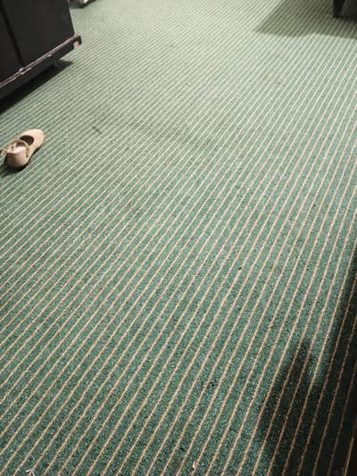 green lines carpet in 13/11 size . . in good condition pechy se  jali  h