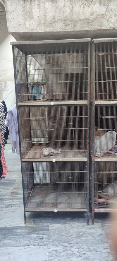 18X18X24 cage in good condition with tray