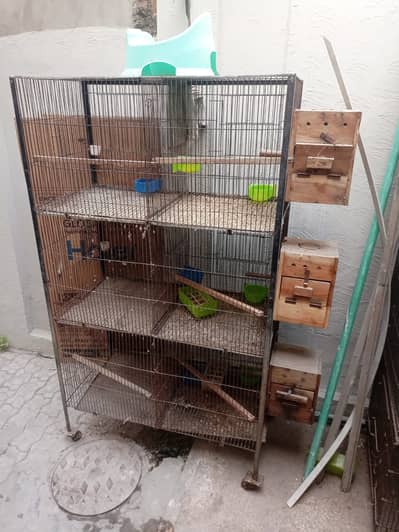 Cages for Sale in Lahore
