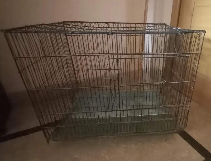 Animal and bird  cage  for sale — photo 2