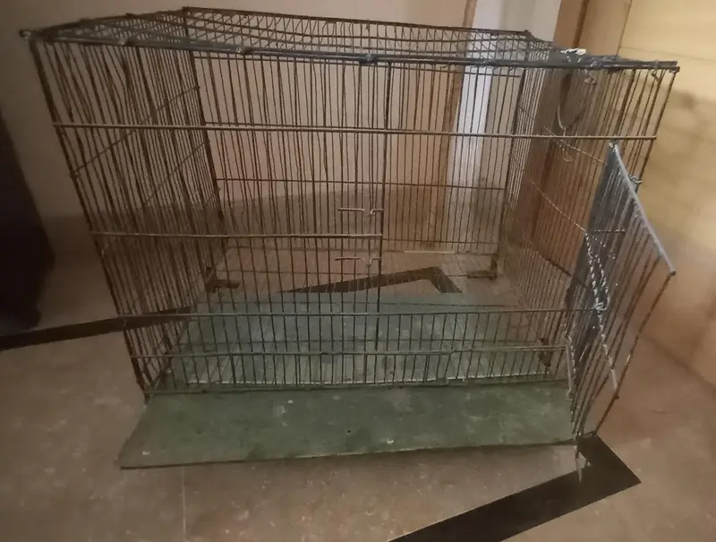 Animal and bird  cage  for sale — photo 3