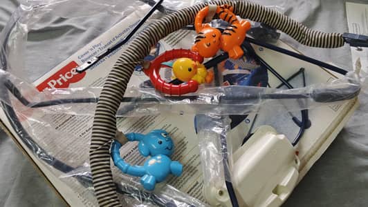 Fisher price original bouncer