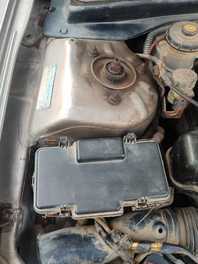 Honda Civic Cat Eyes