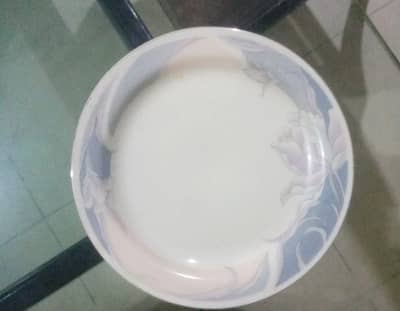 Dinner plates , quarter plates . salan plates