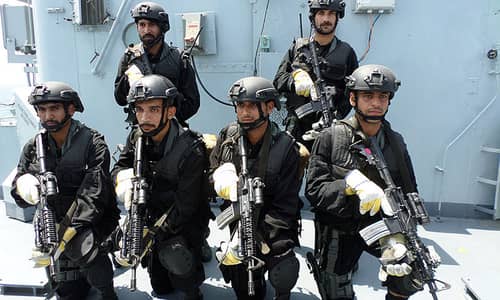 Security Guard Services, EX-SSG Commandos, Private Security Guard