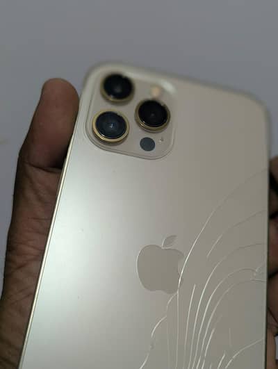 apple iphone 12 pro max 512 dual approved