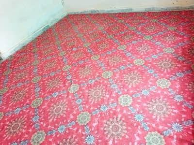 Used carpet 10*11