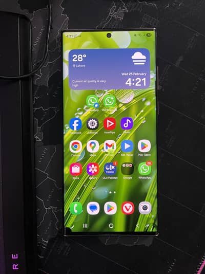 Samsung s22 ultra penal