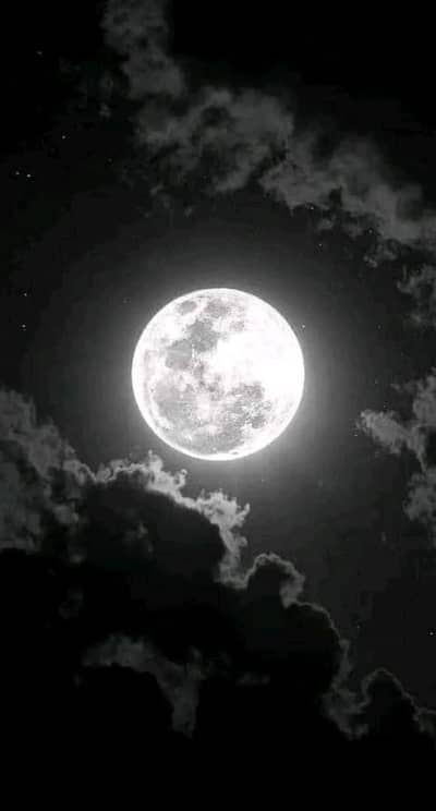 Looking for Job – Personal Gunman / Personal Assistant