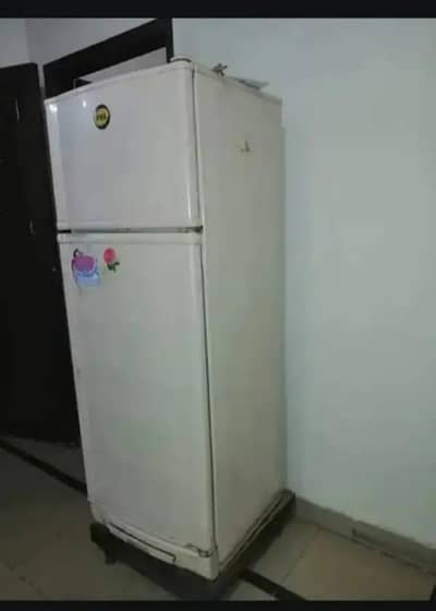 PEL fridge