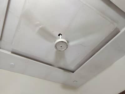 copper orignal Royal fan