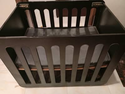Cot for kids