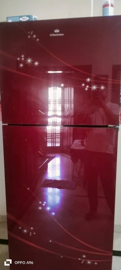 Electrolux Fridge for Sale