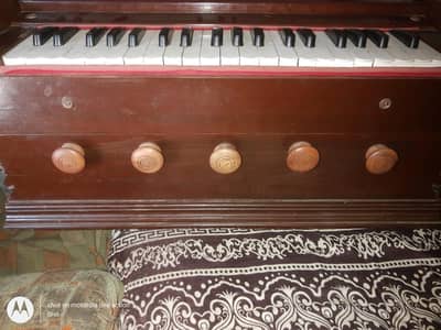 Indian Harmonium indian reeds