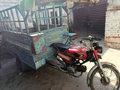 chinchi urgently sale