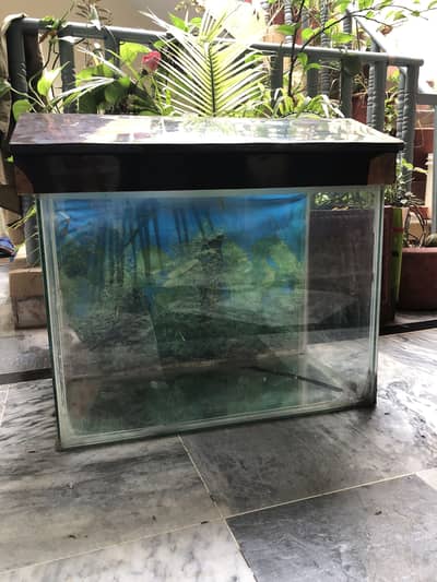 Fish tank / Aquarium