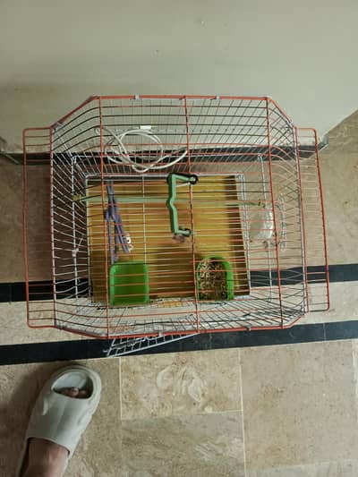 new cage