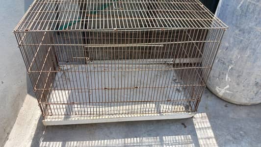 Bird Cage
