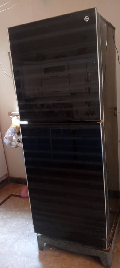 Pel Jambo 03332221715