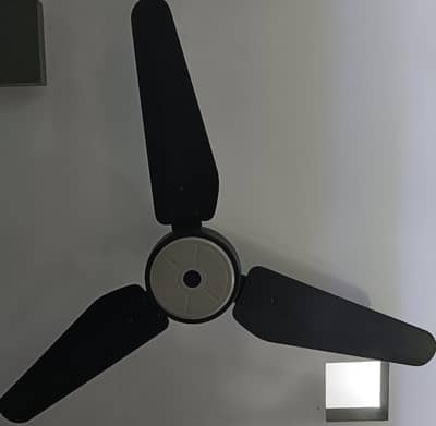 Sk ceiling fan under warranty