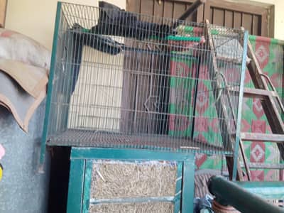 cage for sale