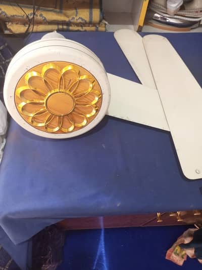 Stylish ceiling fan for sale