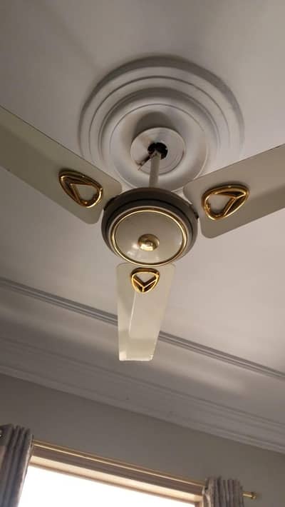 Royal fans nice condition