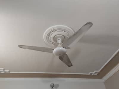 2 GFC Fans and 1 SK Fan