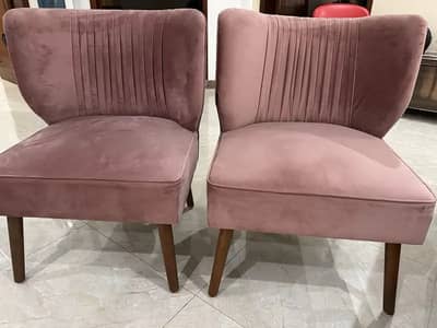 Chairs | Wooden Chairs | Luxury Chairs | Interwood Chairs | 2 chairs