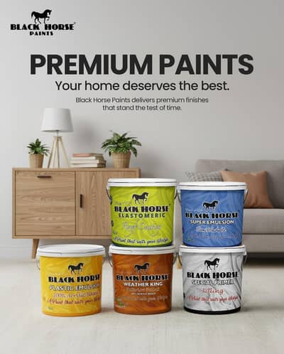 Painter & Paints Available