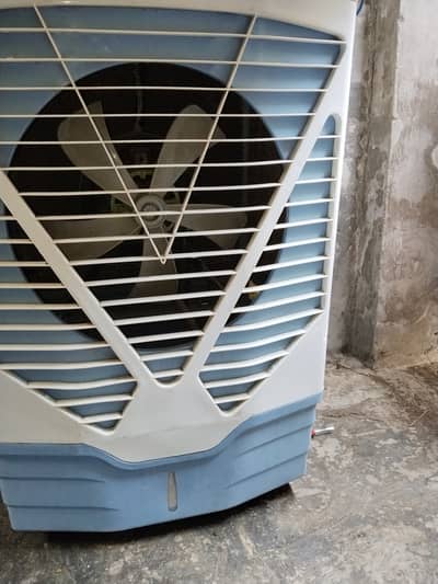 Air cooler 220v