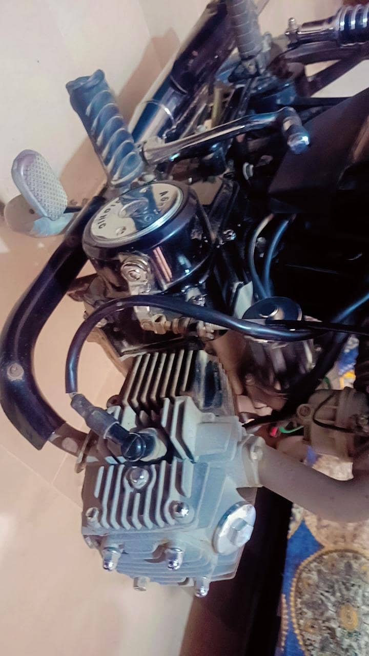 Bionic 70cc 5