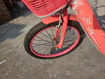 girls bicycle