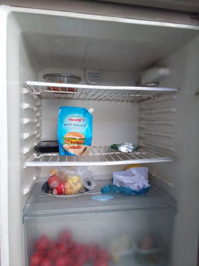 Haier Jumbo Refrigerator