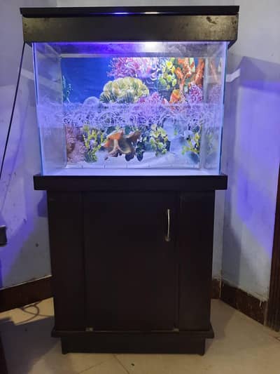 Fish aquarium for sale