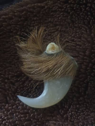 lion ka nahum all ok g asali hai