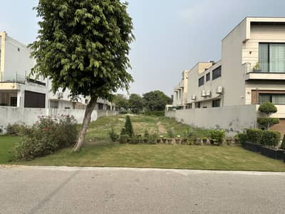 Prime Location DB Pole Clear