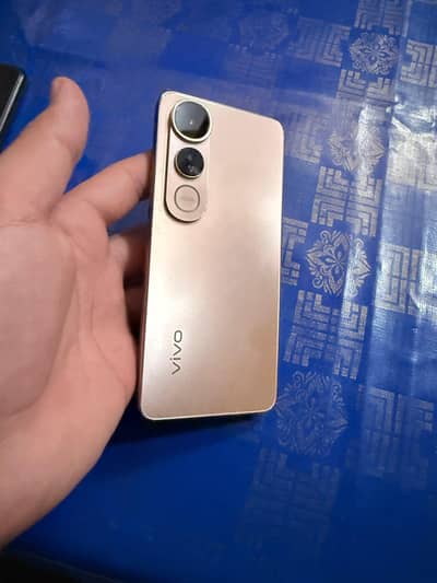 vivi v 50 lite Golden colour