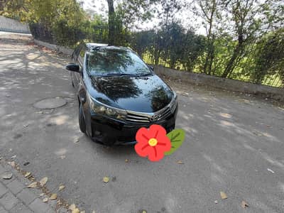 Lush condition family used car