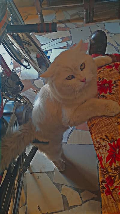 Jes na shok sa rakhna ha wo hi rabta karay