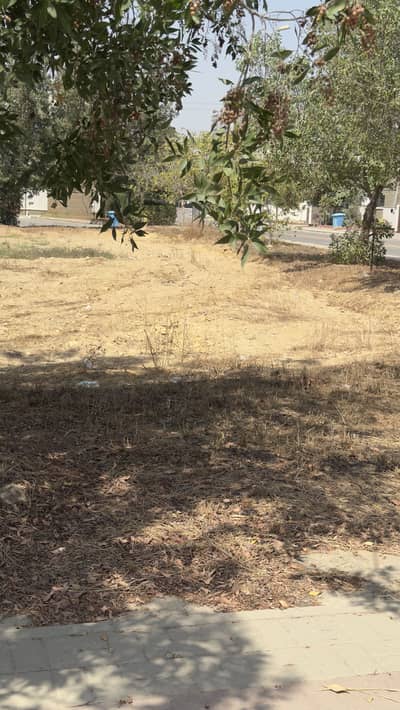 Precinct 1 corner west open & park facing plot available for sale