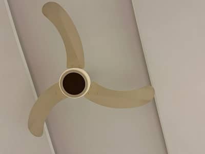 SK Serene fans for sale.