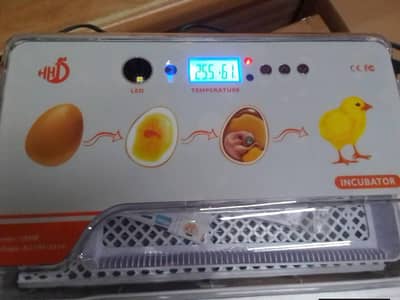 20 eggs incubator