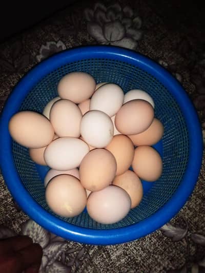 Pure Desi Hens Eggs For Sale